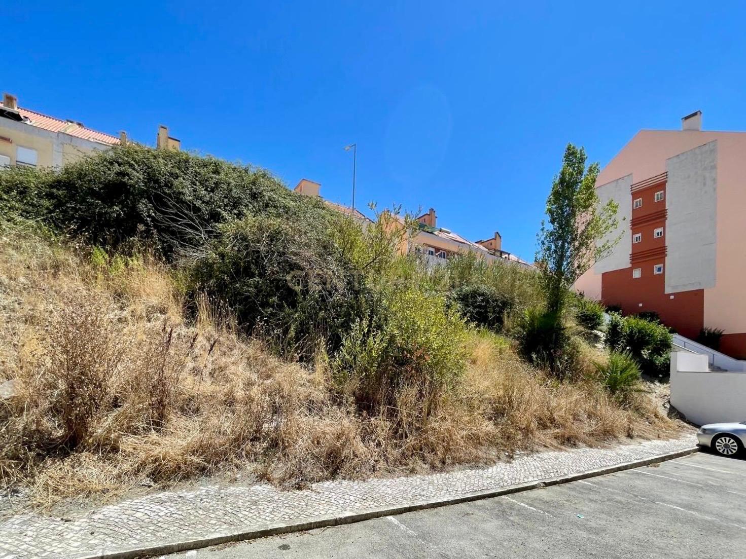 Terreno Moita - Image 10