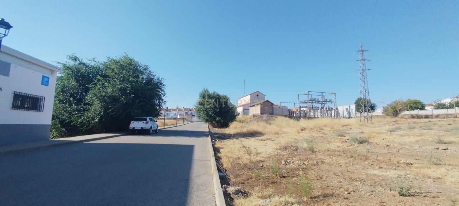 Terreno - Image 6