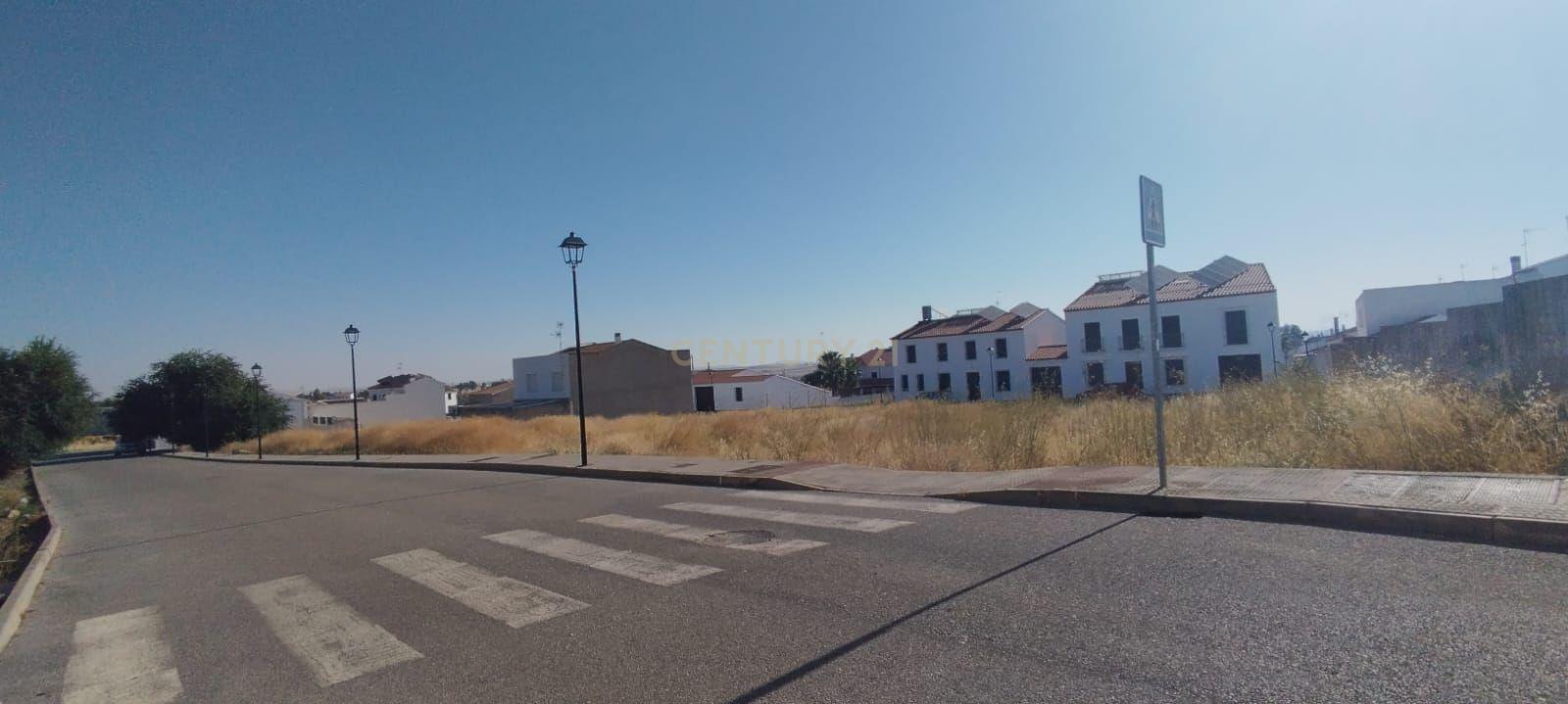 Terreno - Image 3