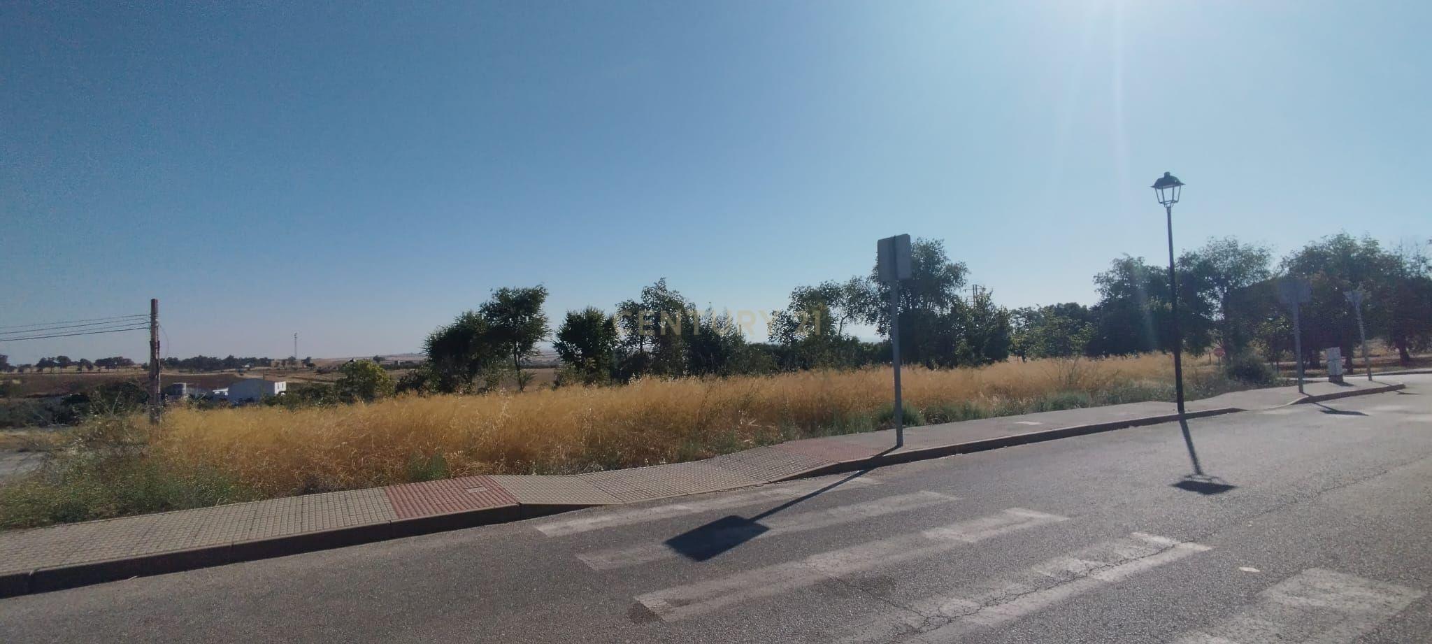 Terreno - Image 6