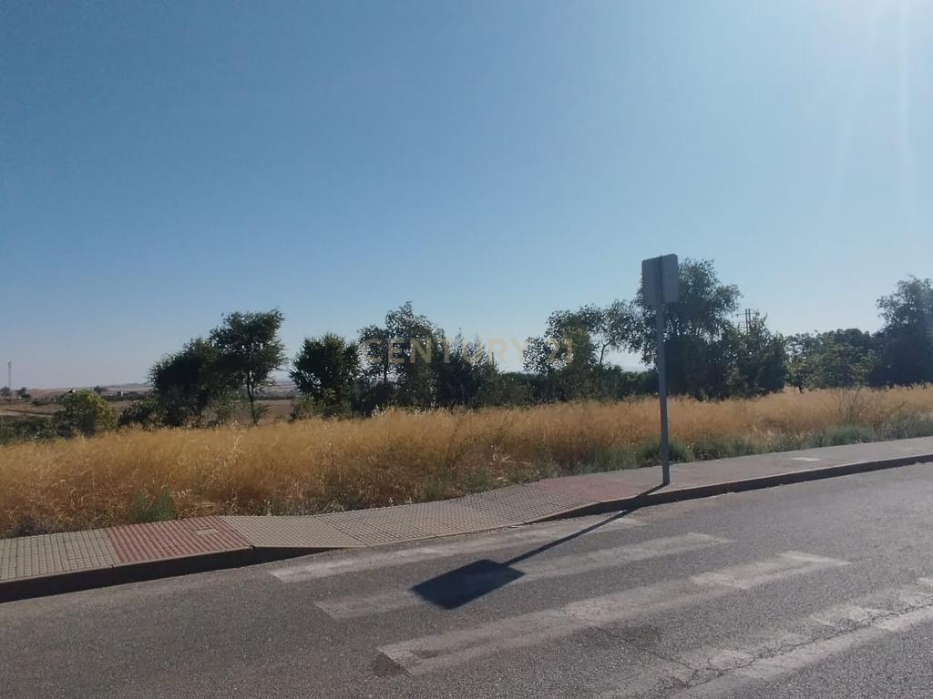 Terreno - Image 6