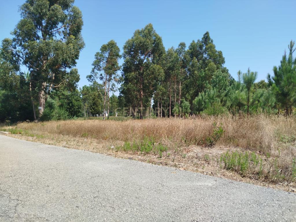 Terreno à Venda em Vagos, Aveiro - Oportunidade Única! - Image 8