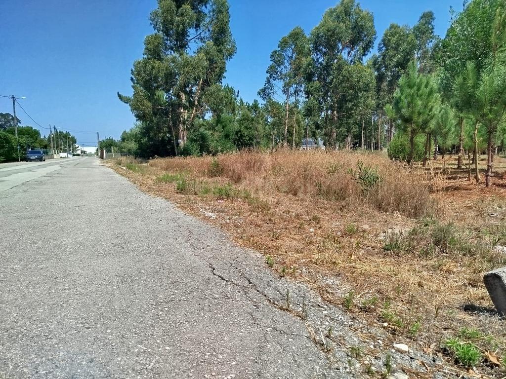 Terreno à Venda em Vagos, Aveiro - Oportunidade Única! - Image 9