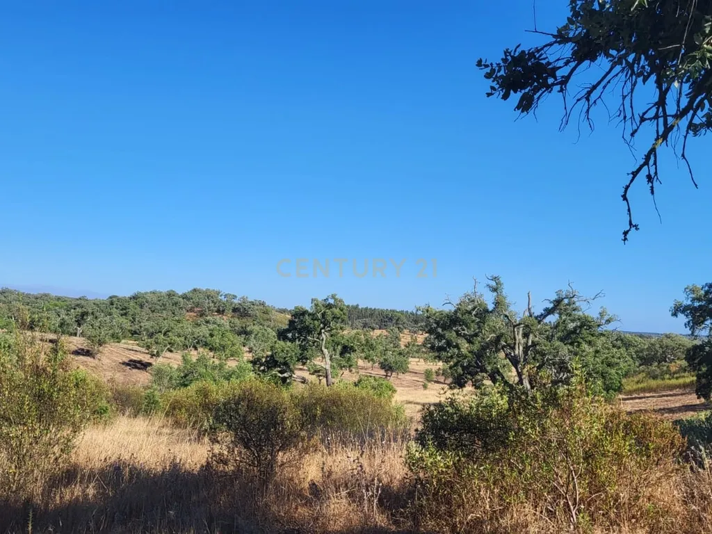 Monte Alentejano - viabilidade 6.000m2 p/ HOTEL RURAL ou 429m2 de HABITAÇÃO - Image 5