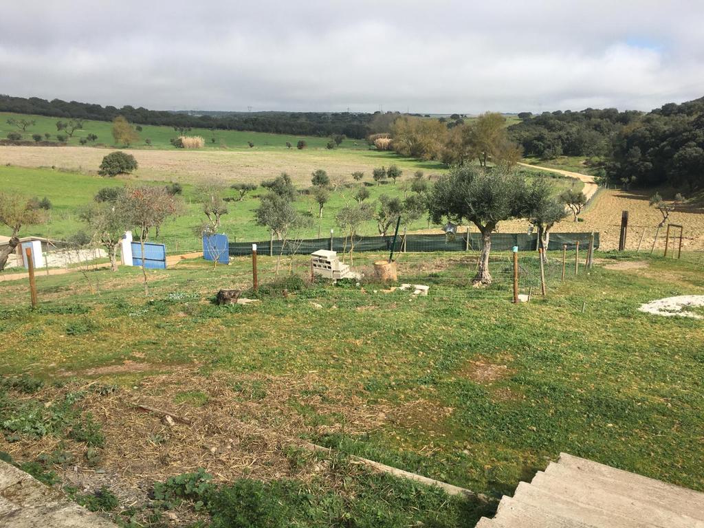 Monte Em Sousel - Image 15