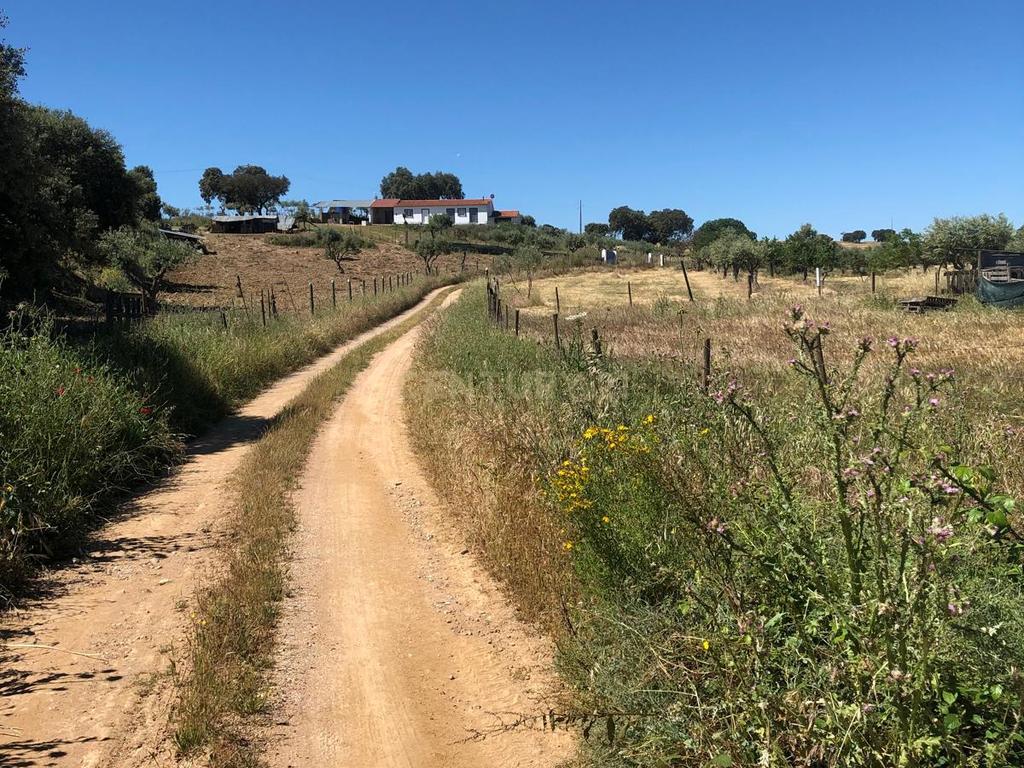 Monte Em Sousel - Image 16