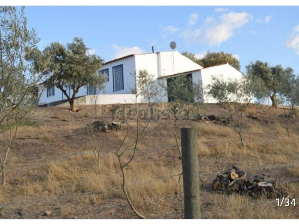 Monte Em Sousel - Image 11