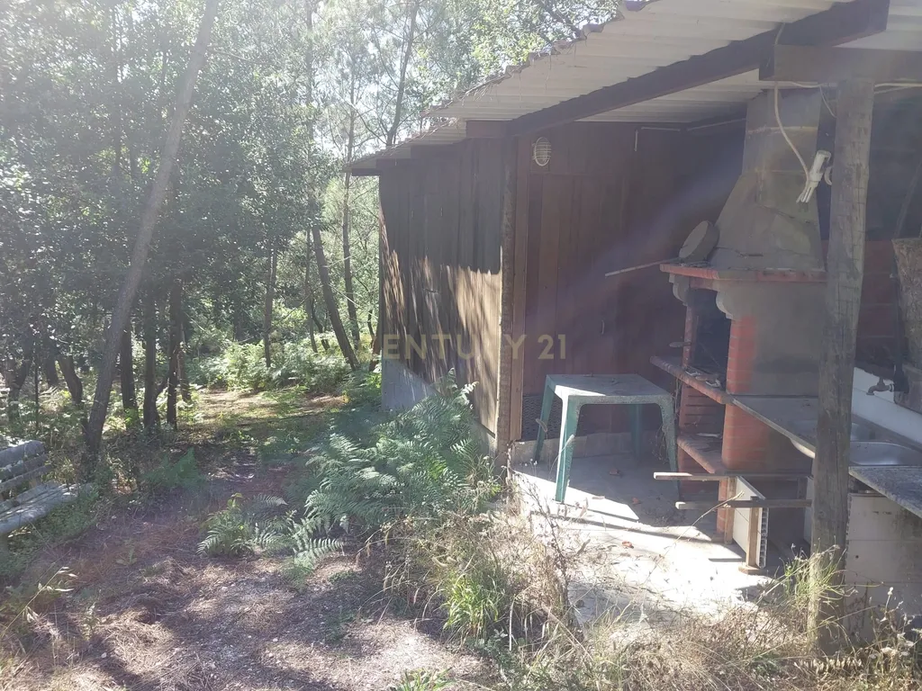 Terreno rústico com árvores de fruto em Telheiro-Maceira - Image 4