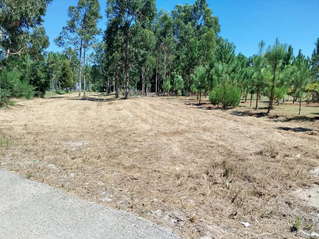 Terreno à Venda em Vagos, Aveiro - Oportunidade Única! - Image 2