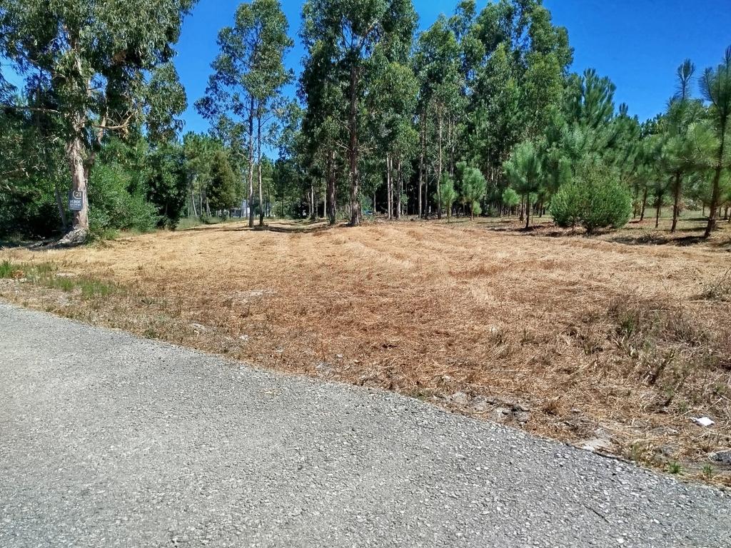 Terreno à Venda em Vagos, Aveiro - Oportunidade Única! - Image 4