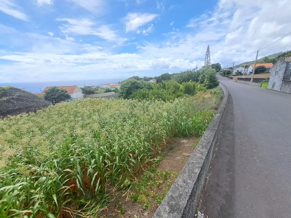 🌿 Terreno à Venda – Ilha do Pico, São Mateus (Madalena) 🌅 - Image 8
