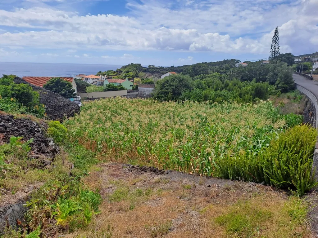 🌿 Terreno à Venda – Ilha do Pico, São Mateus (Madalena) 🌅 - Image 3