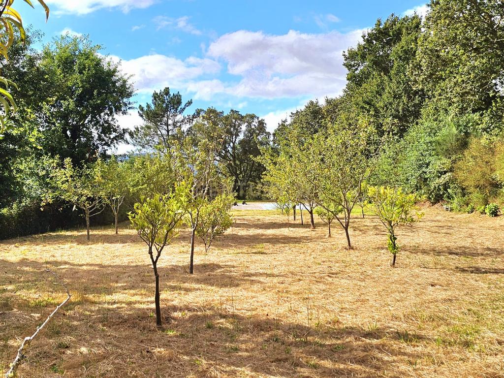 Moradia com quatro quartos  com piscina em Romarigães Paredes de Coura - Image 39