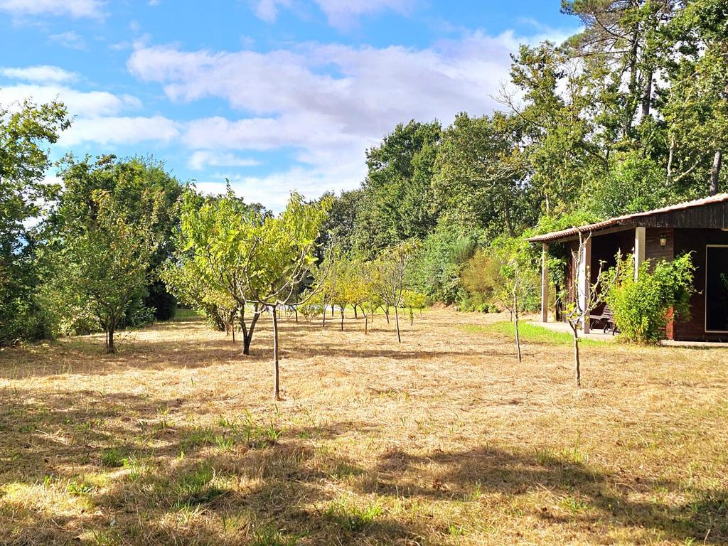 Moradia com quatro quartos  com piscina em Romarigães Paredes de Coura - Image 40