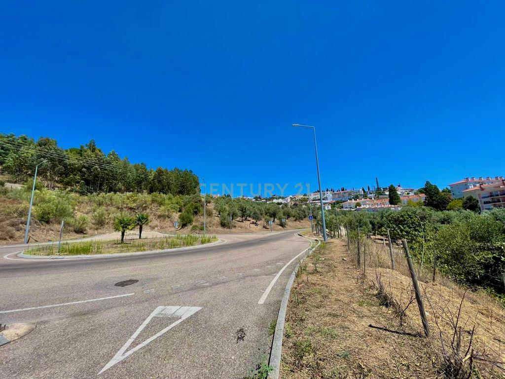 Terreno Misto | Portalegre - Image 4