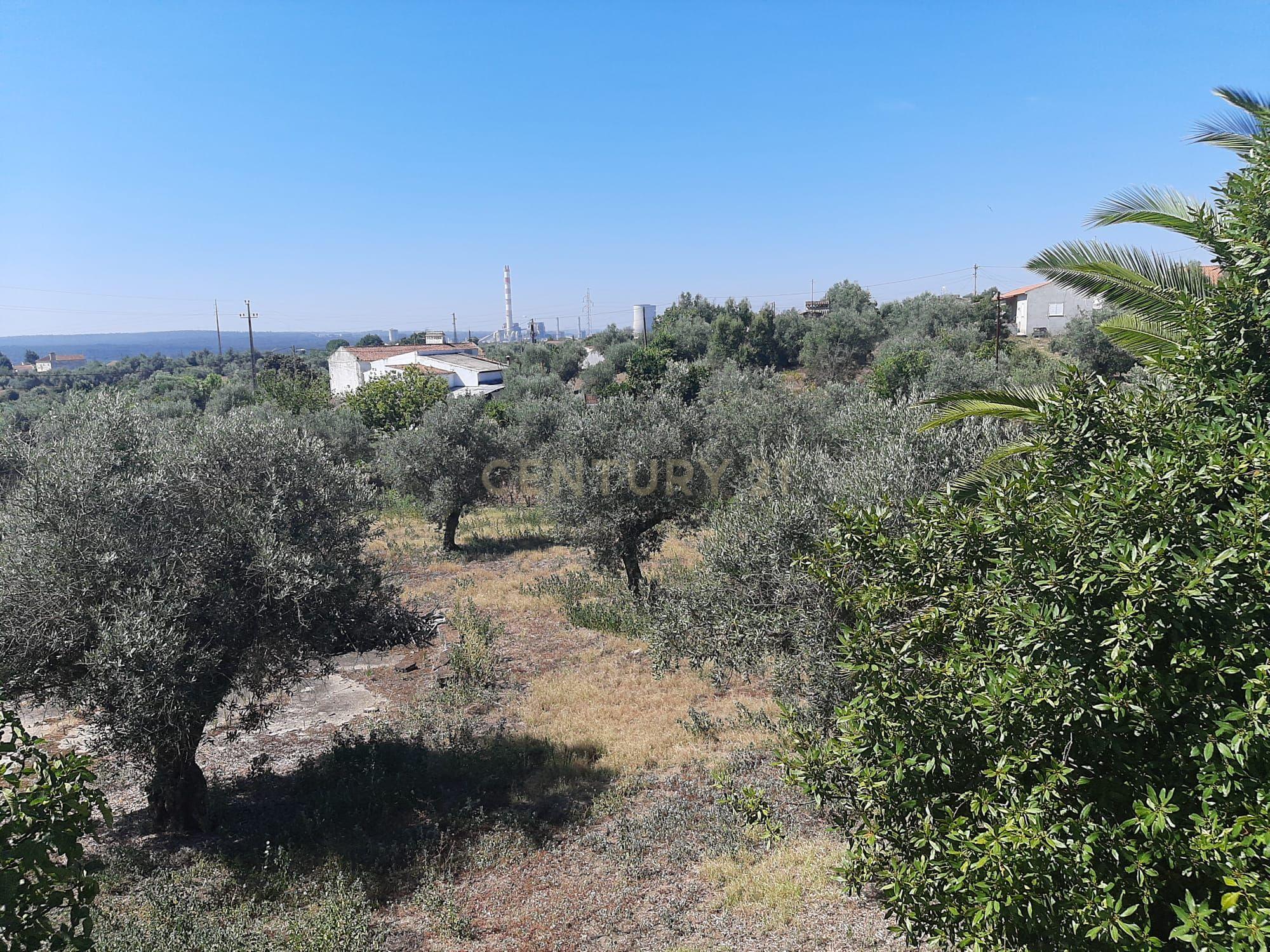 Quintinha com moradia de 10 assoalhadas e anexos, lote de 19.060m2, Mouriscas, Abrantes - Image 20