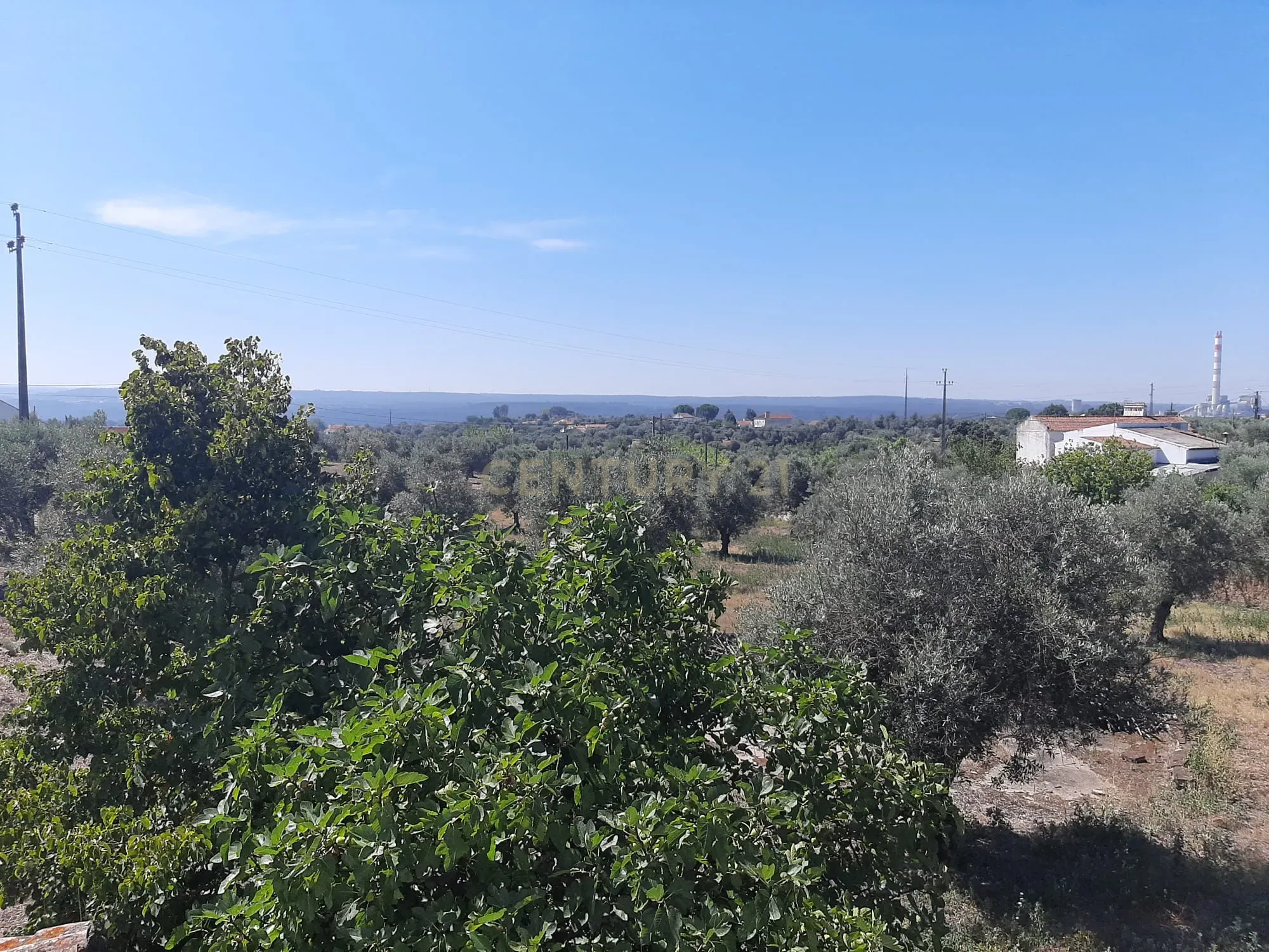 Quintinha com moradia de 10 assoalhadas e anexos, lote de 19.060m2, Mouriscas, Abrantes - Image 21
