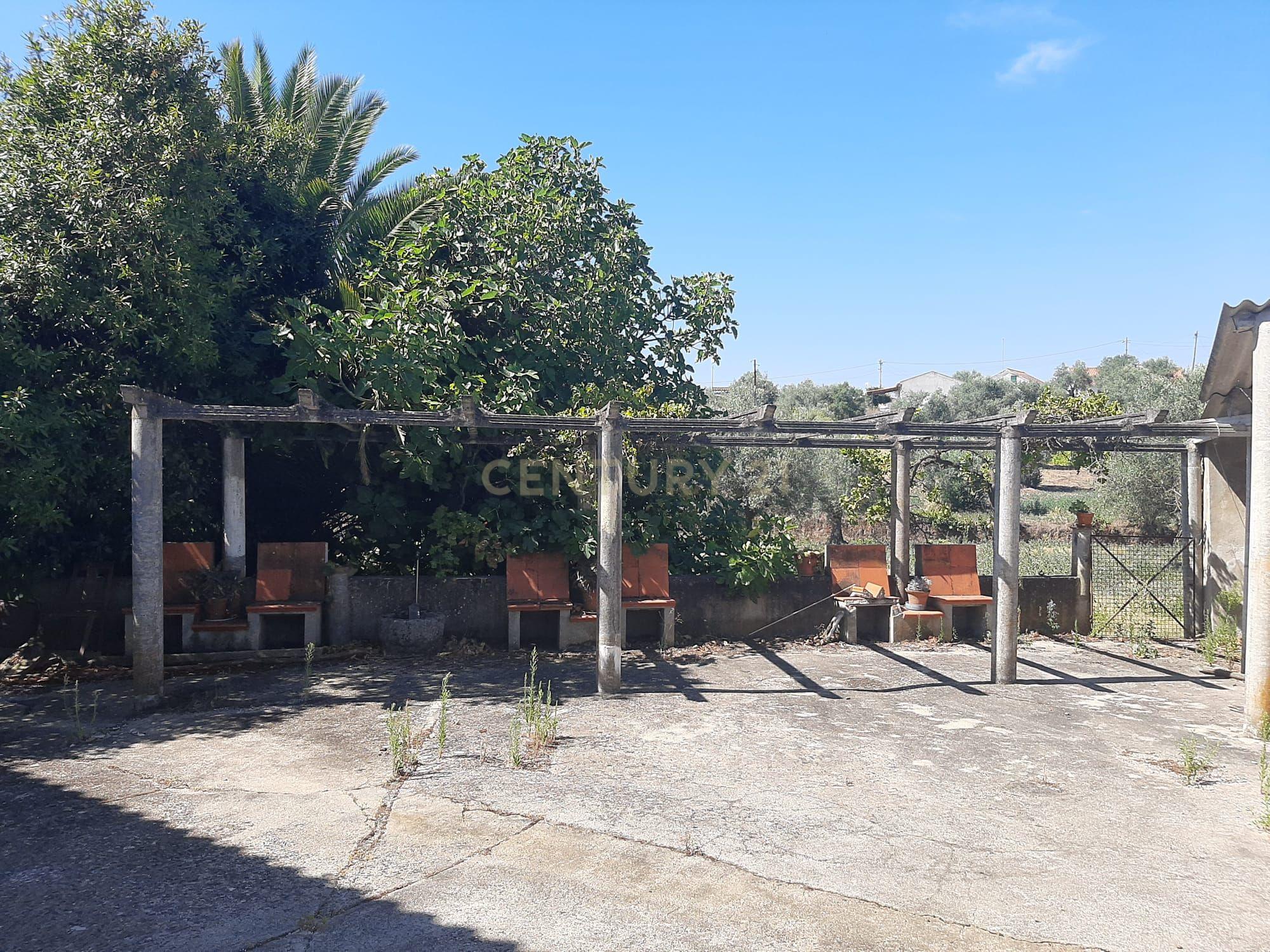 Quintinha com moradia de 10 assoalhadas e anexos, lote de 19.060m2, Mouriscas, Abrantes - Image 13