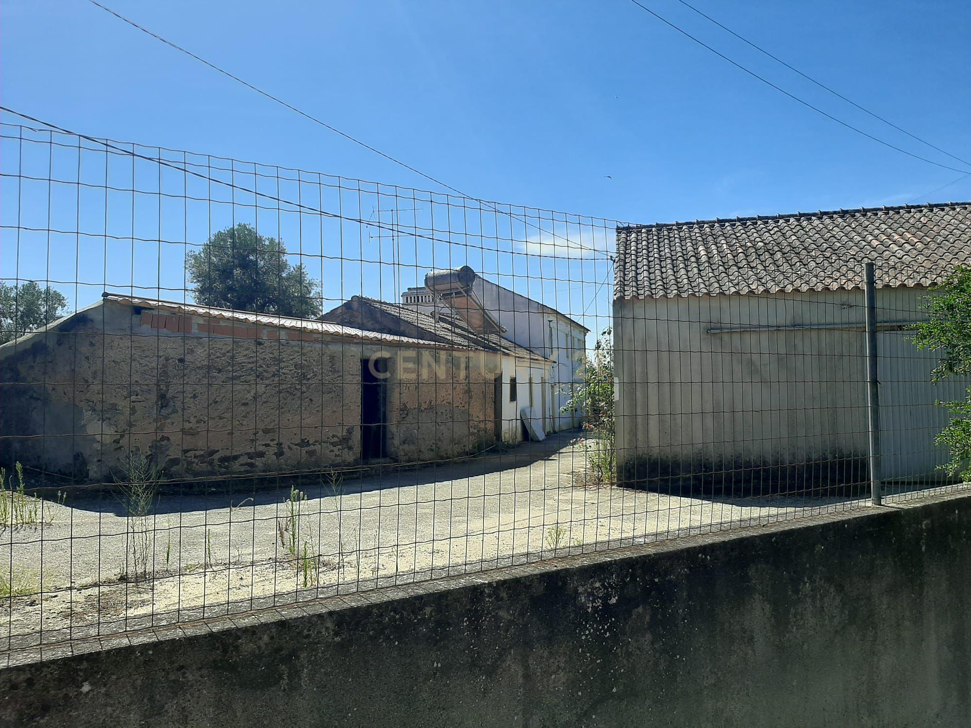 Quintinha com moradia de 10 assoalhadas e anexos, lote de 19.060m2, Mouriscas, Abrantes - Image 14