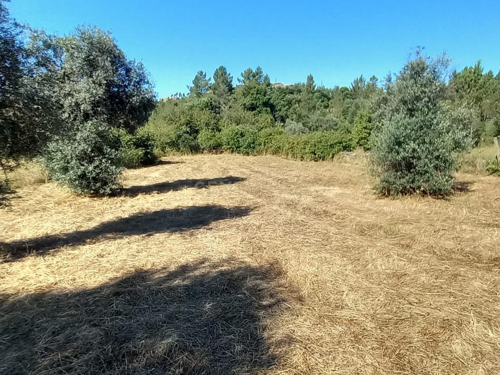 Terreno rustico com 1200m2 Vale das Ovelhas - Image 1