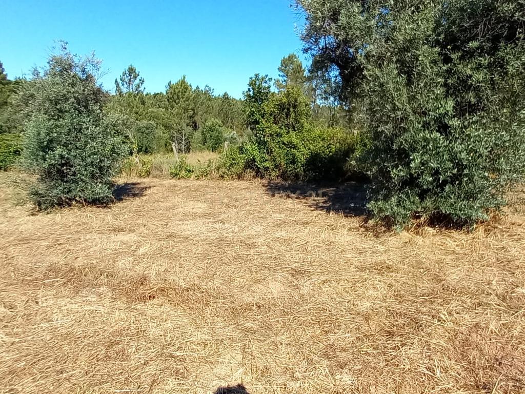 Terreno rustico com 1200m2 Vale das Ovelhas - Image 9