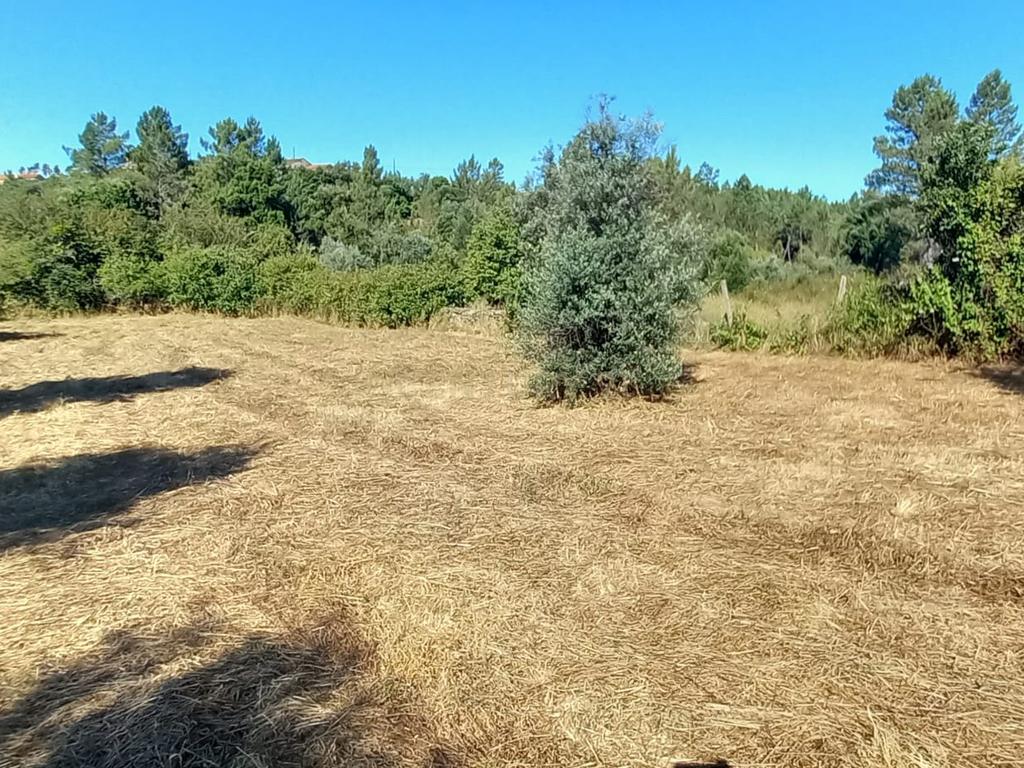 Terreno rustico com 1200m2 Vale das Ovelhas - Image 5