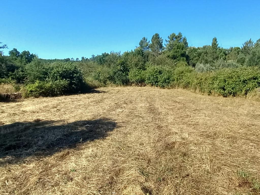 Terreno rustico com 1200m2 Vale das Ovelhas - Image 2