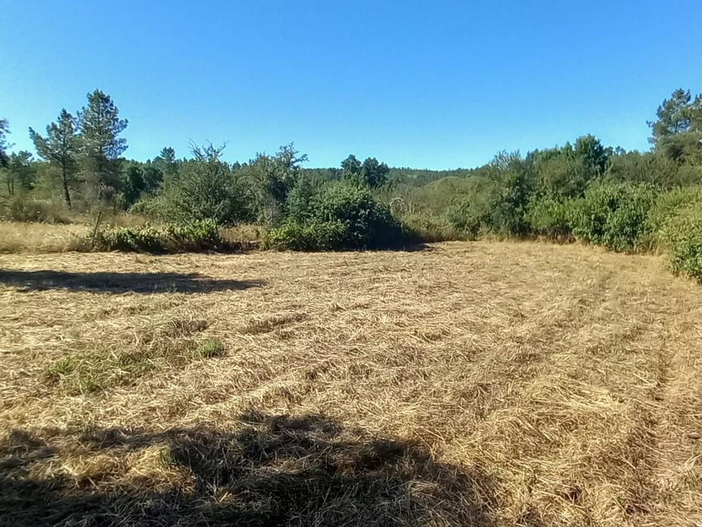 Terreno rustico com 1200m2 Vale das Ovelhas - Image 6