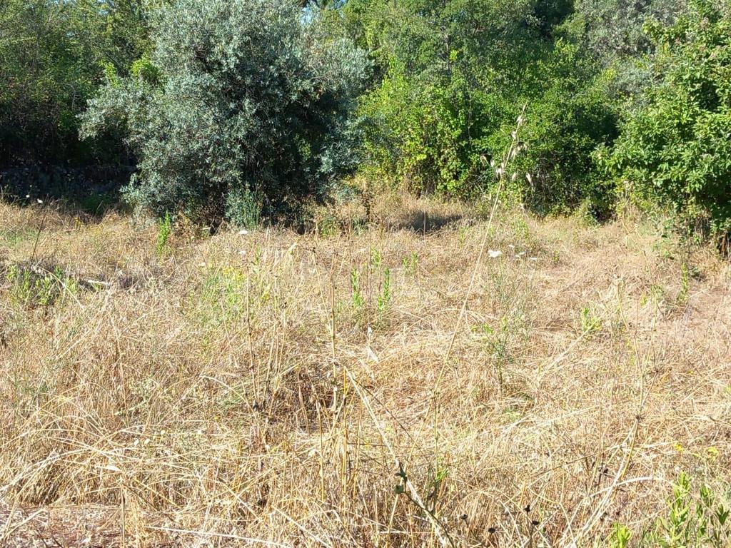 Terreno rustico com 1200m2 Vale das Ovelhas - Image 4