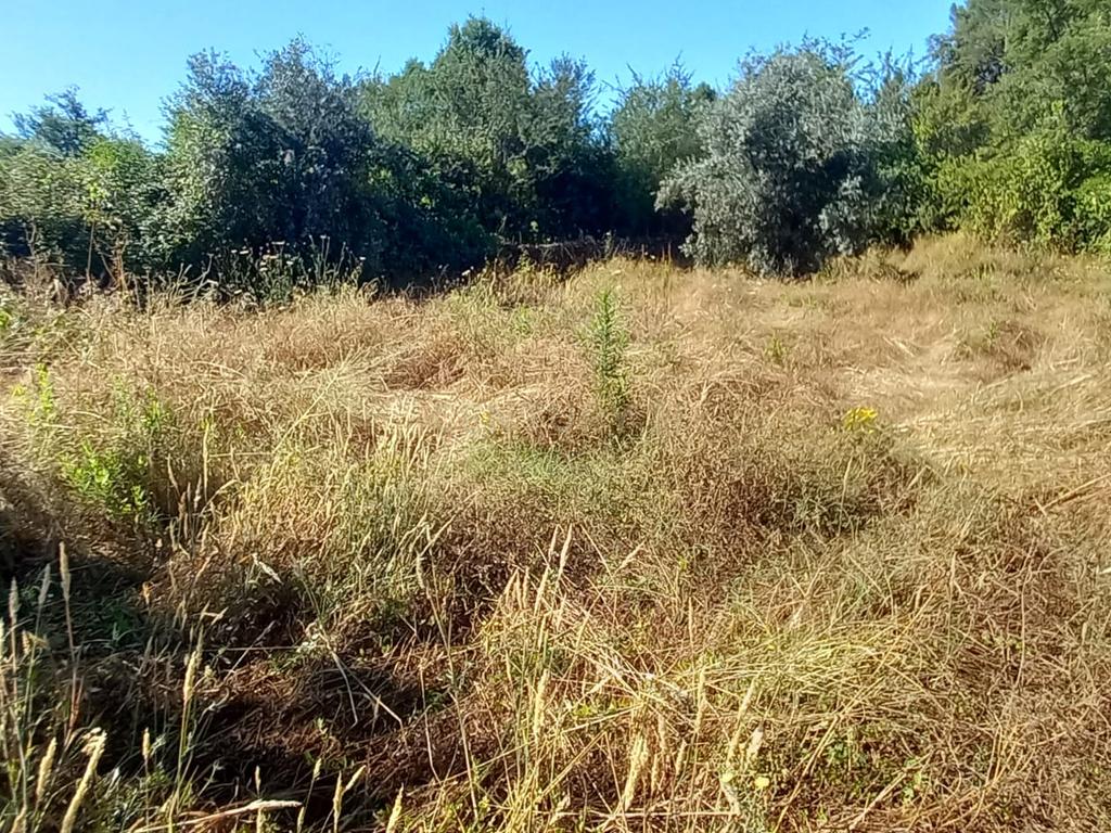 Terreno rustico com 1200m2 Vale das Ovelhas - Image 3