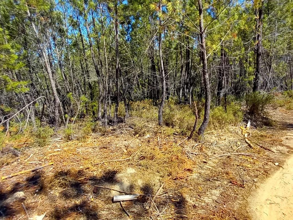 Terreno Rustico com 10200m2 em Vale das Ovelhas - Image 9