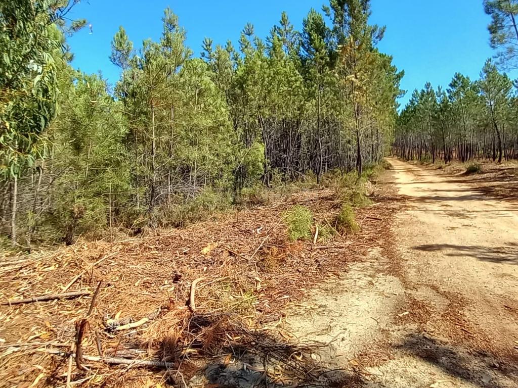 Terreno Rustico com 10200m2 em Vale das Ovelhas - Image 10