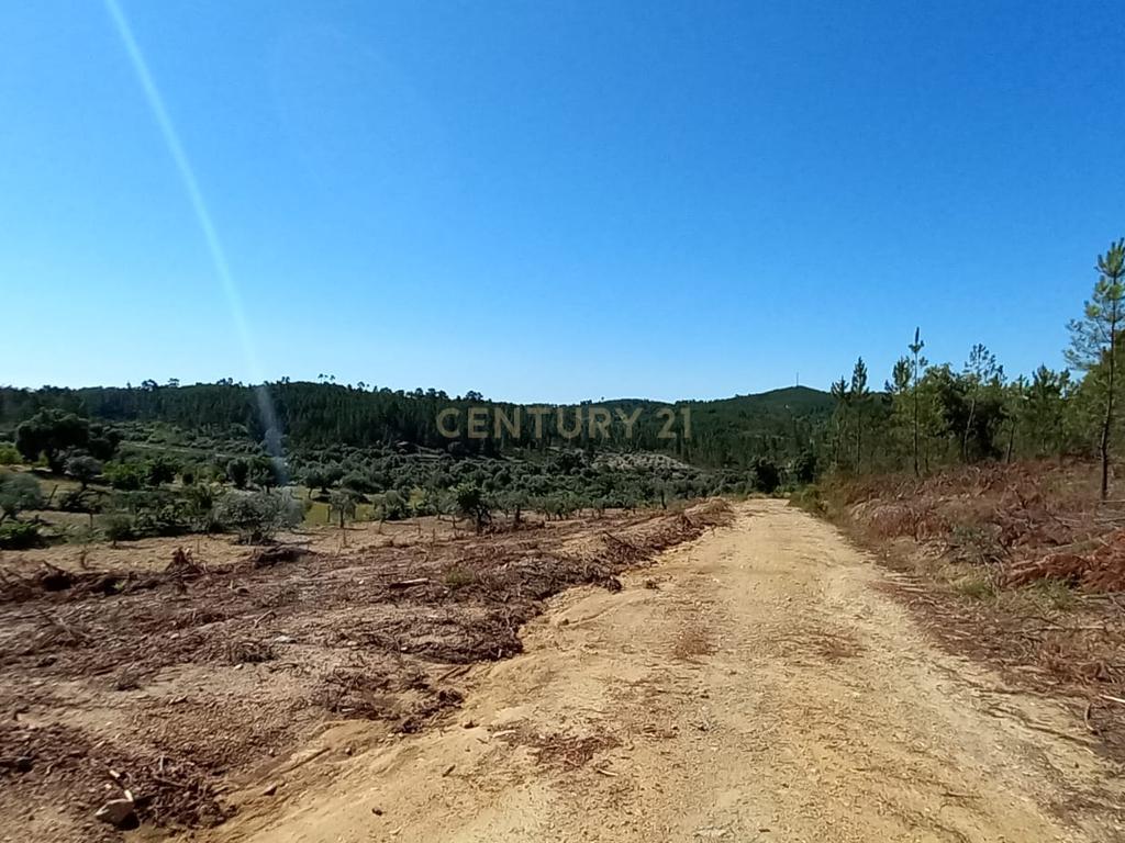Terreno Rustico com 10200m2 em Vale das Ovelhas - Image 1