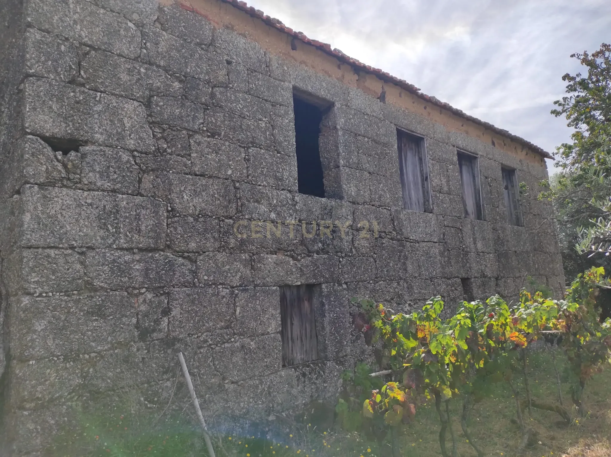 Moradia T4 à venda em São João de Areias, Santa Comba Dão — foto 5
