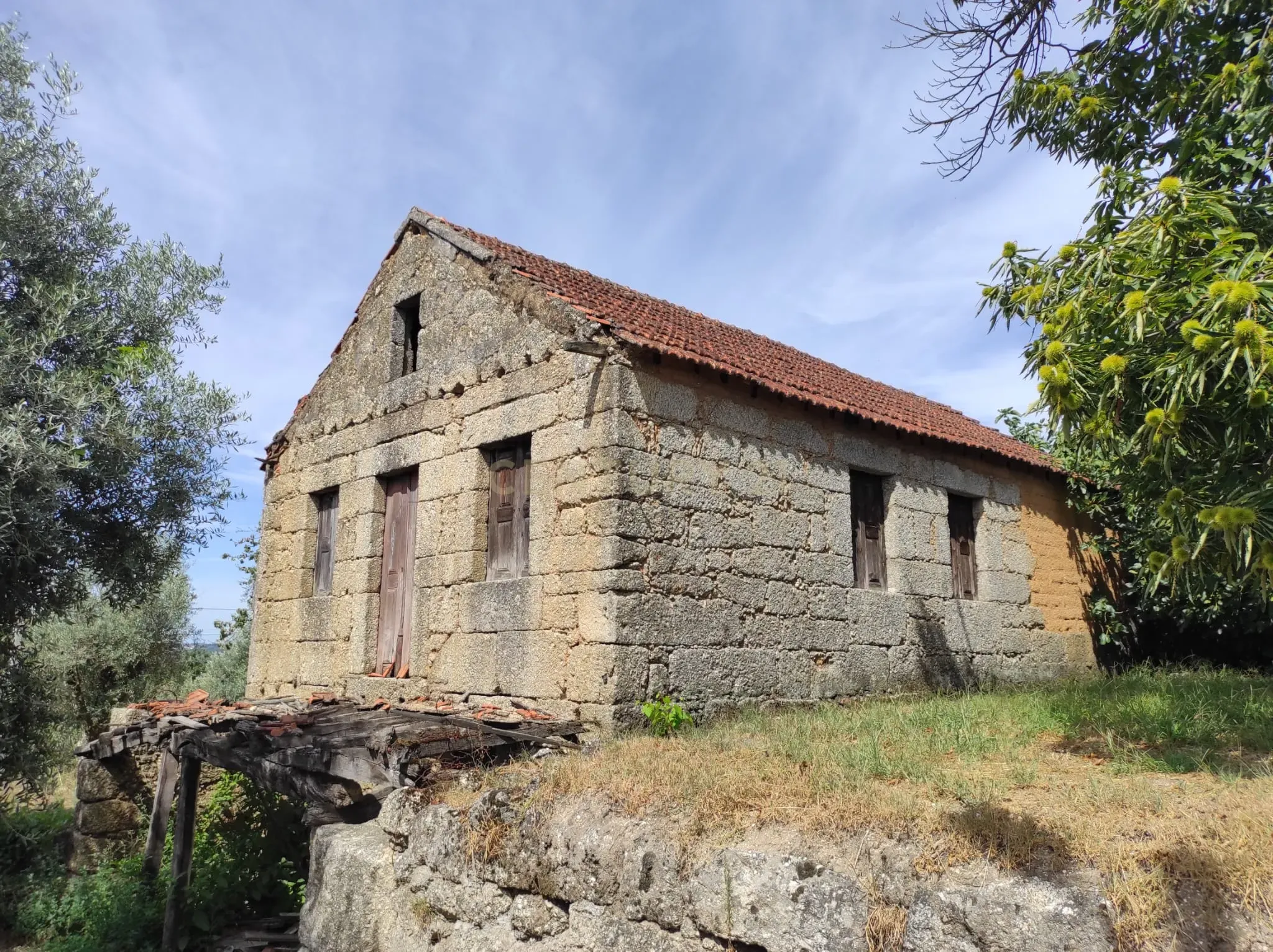 Moradia T4 à venda em São João de Areias, Santa Comba Dão — foto 2