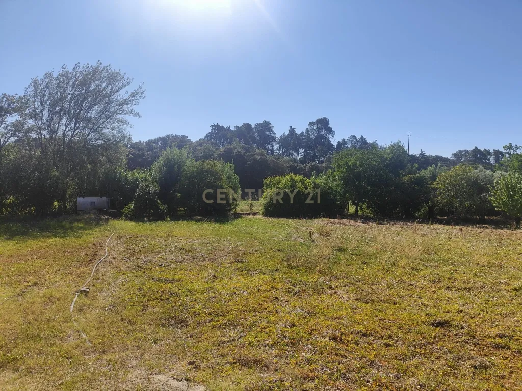 Terreno de 20.240 m², Torres Novas Chancelaria - Image 3