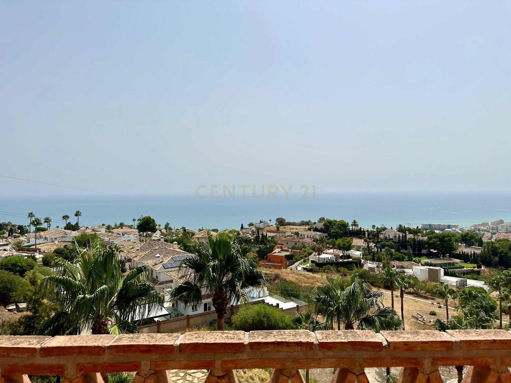 undefined - Image 20