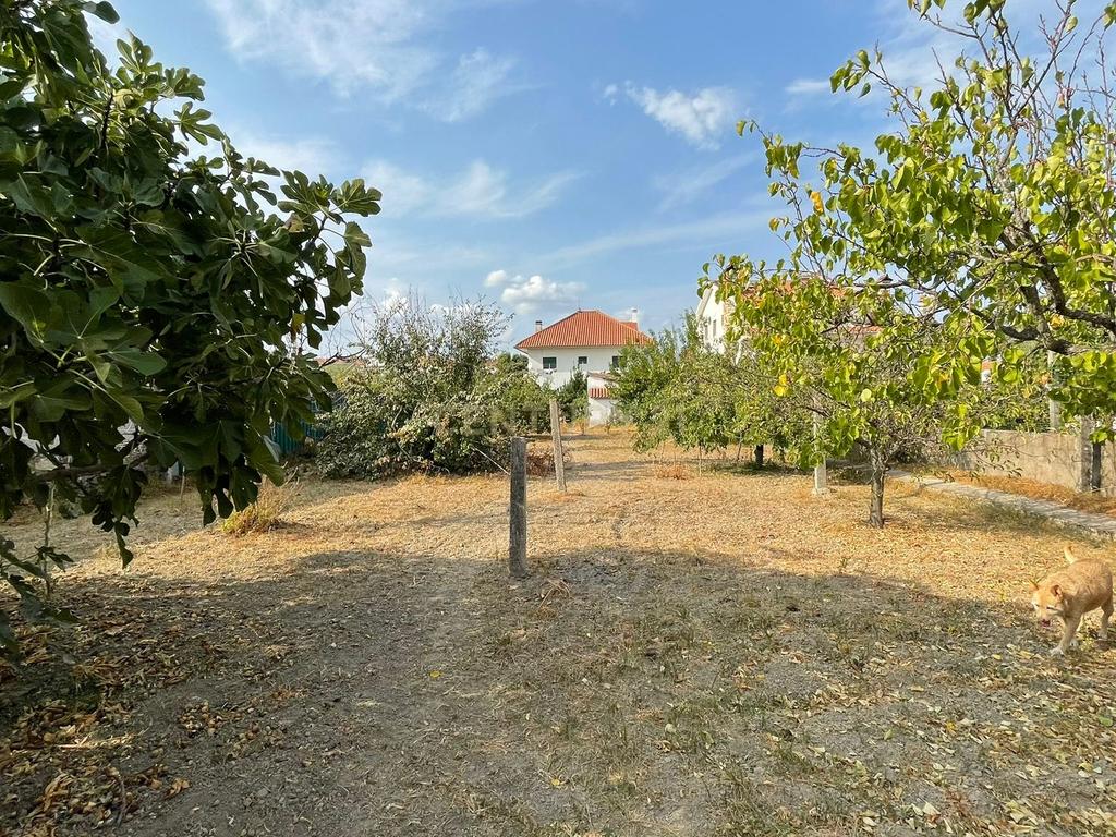 Moradia T4 em Ladoeiro, Idanha-a-Nova - Image 27