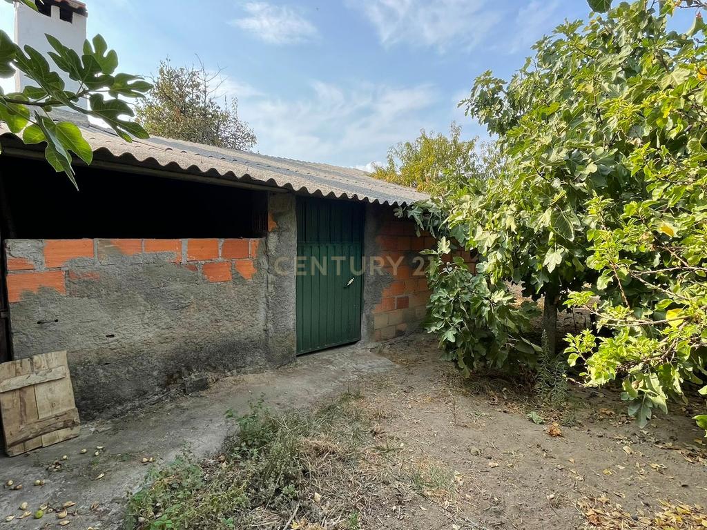 Moradia T4 em Ladoeiro, Idanha-a-Nova - Image 25