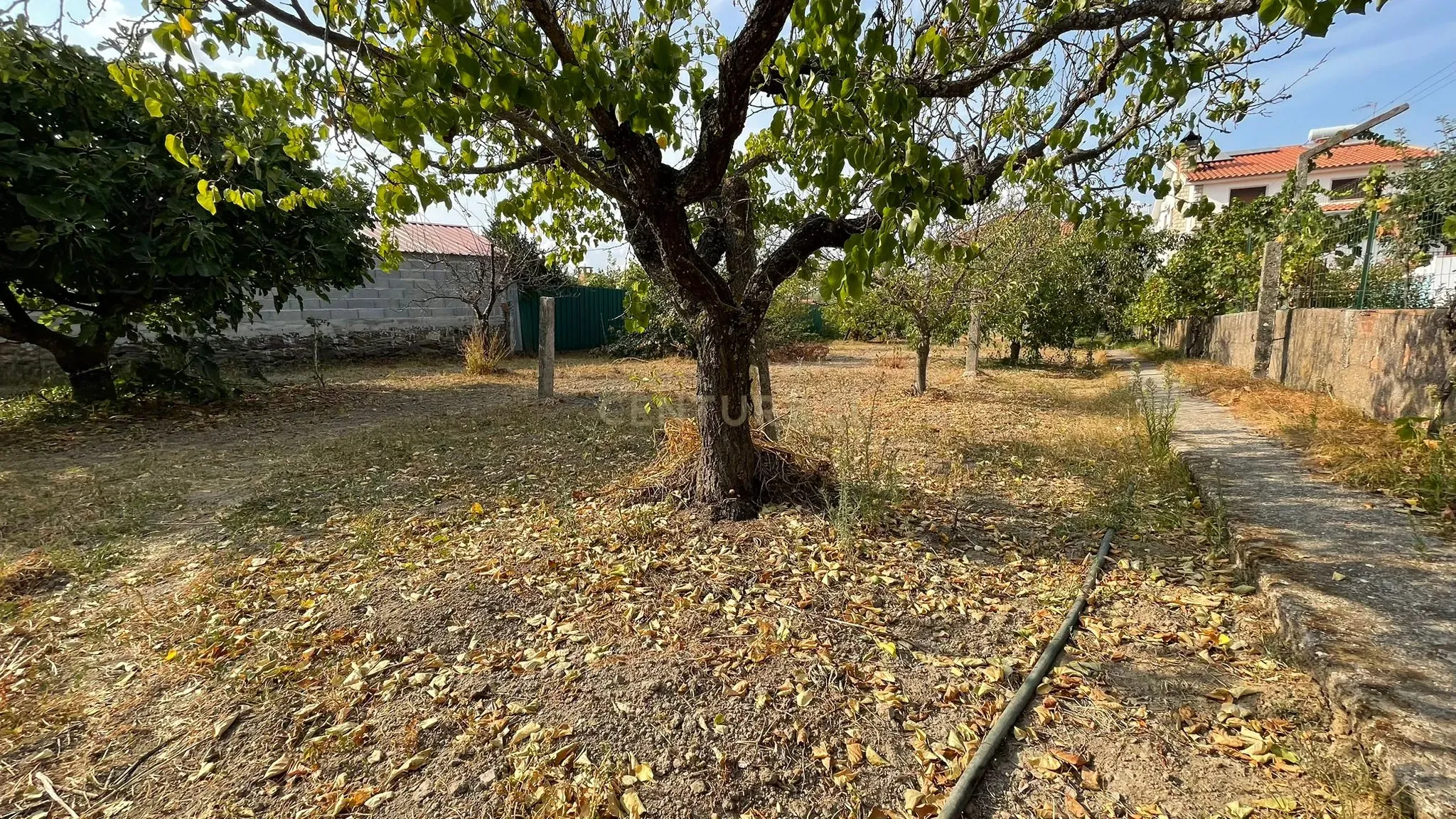 Moradia T4 em Ladoeiro, Idanha-a-Nova - Image 3