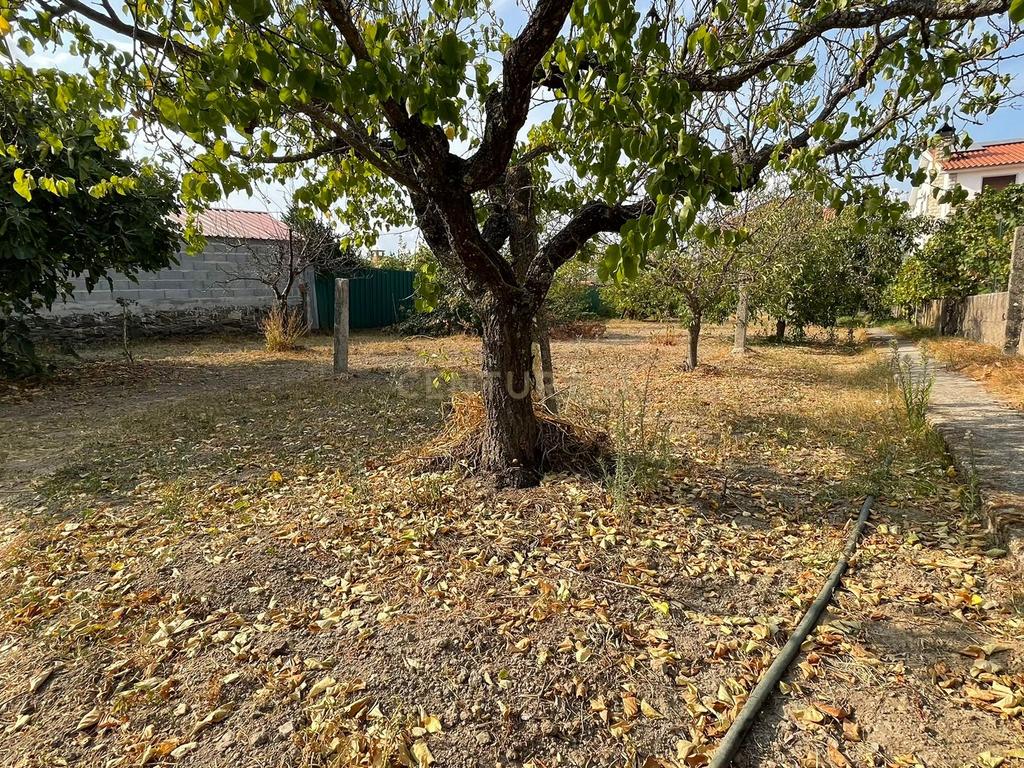 Moradia T4 em Ladoeiro, Idanha-a-Nova - Image 3