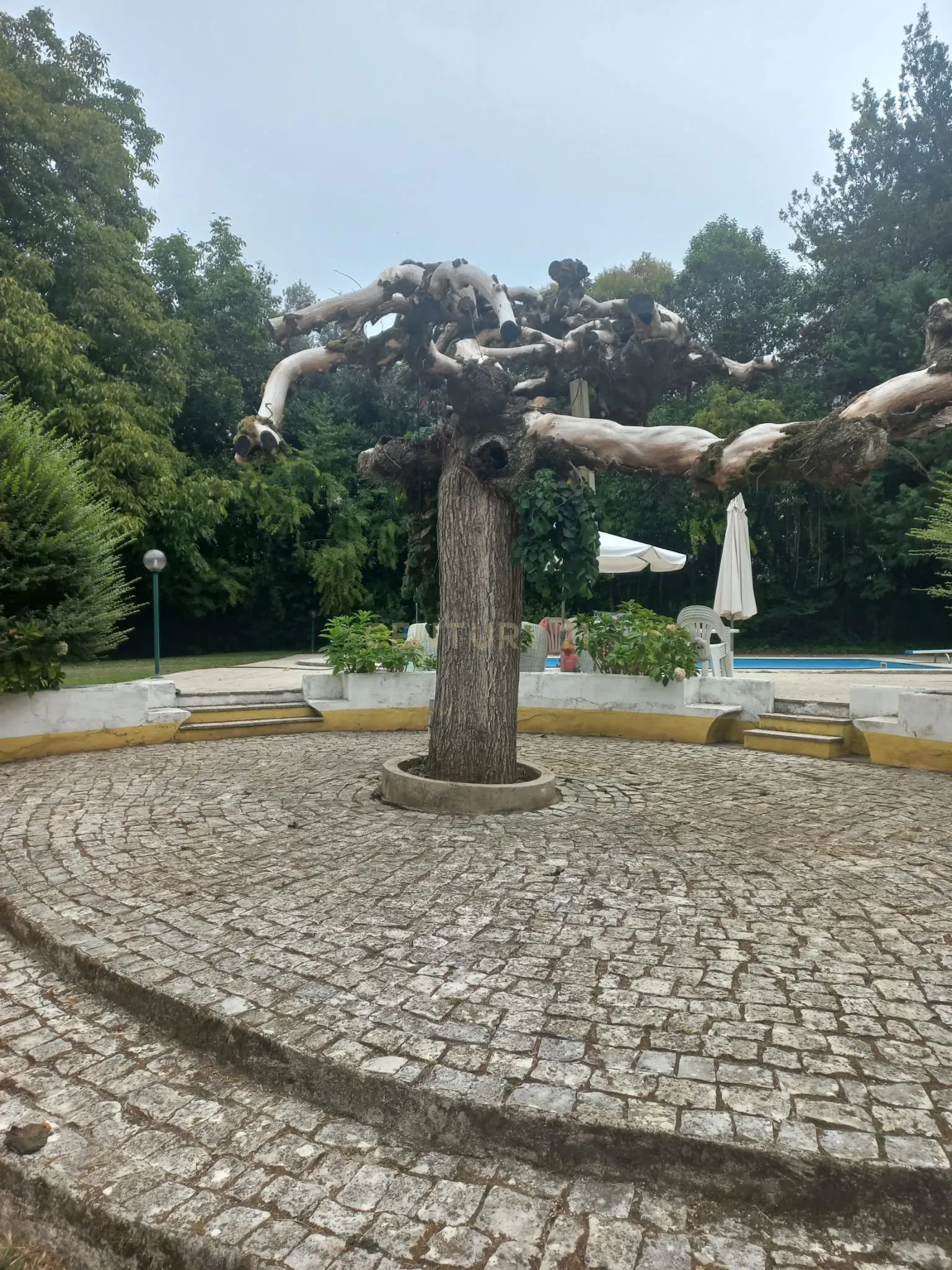 Palacete de Luxo com Piscina: Refúgio Histórico no Coração de Lousã - Image 26