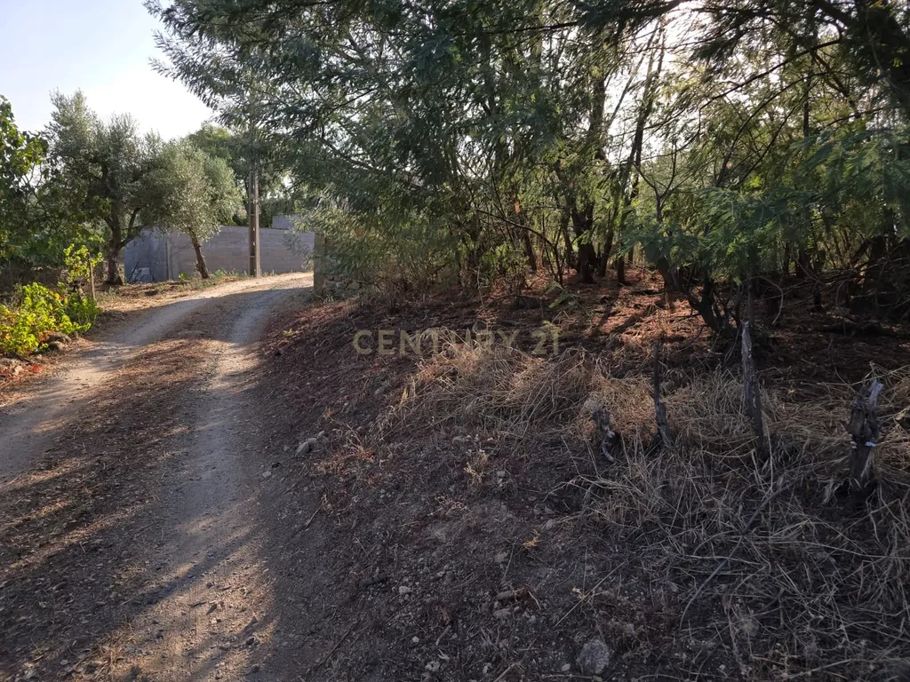 Terreno Rústico em Castelo Novo, Fundão - 2311m² por 19900€ - Image 5