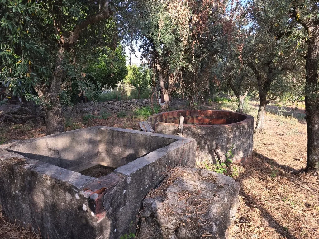 Terreno Rústico em Castelo Novo, Fundão - 2311m² por 19900€ - Image 2