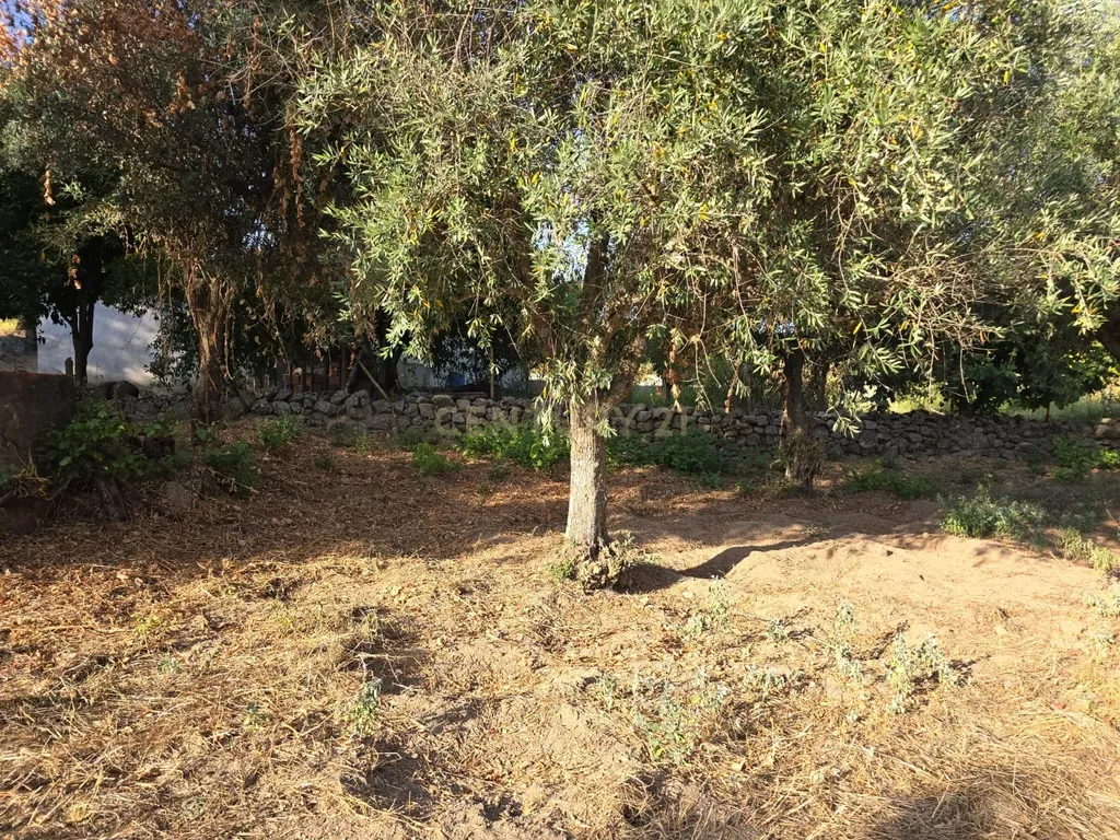 Terreno Rústico em Castelo Novo, Fundão - 2311m² por 19900€ - Image 6
