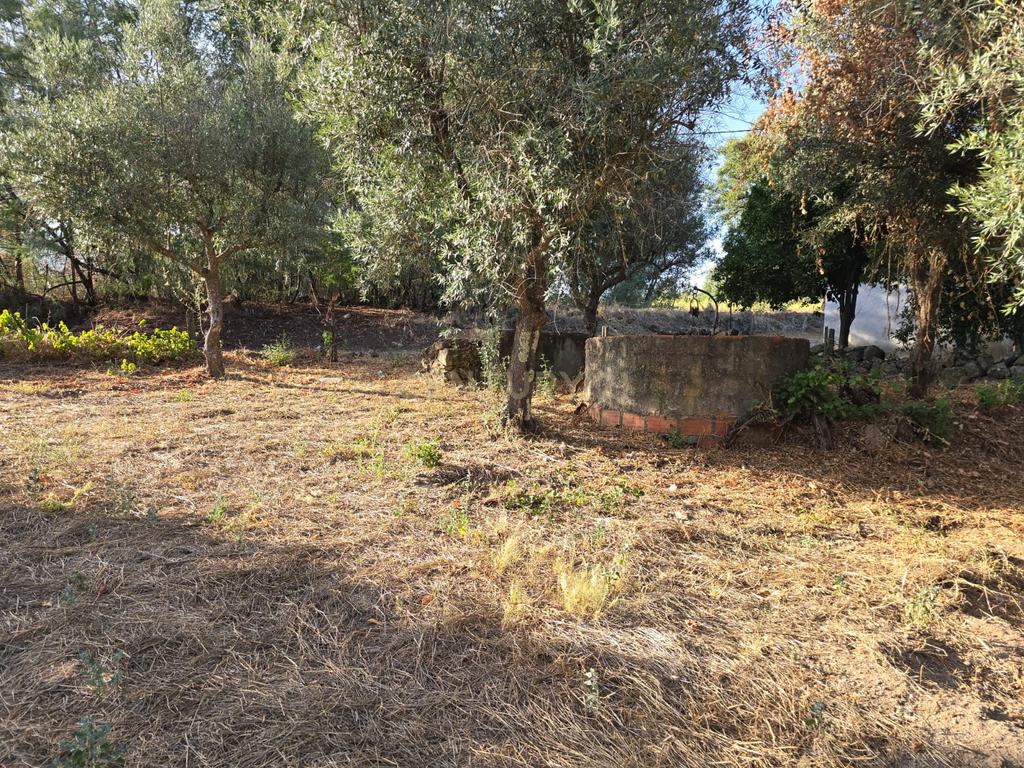 Terreno Rústico em Castelo Novo, Fundão - 2311m² por 19900€ - Image 7