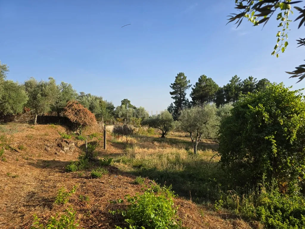 Terreno Rústico em Castelo Novo, Fundão - 2311m² por 19900€ - Image 14