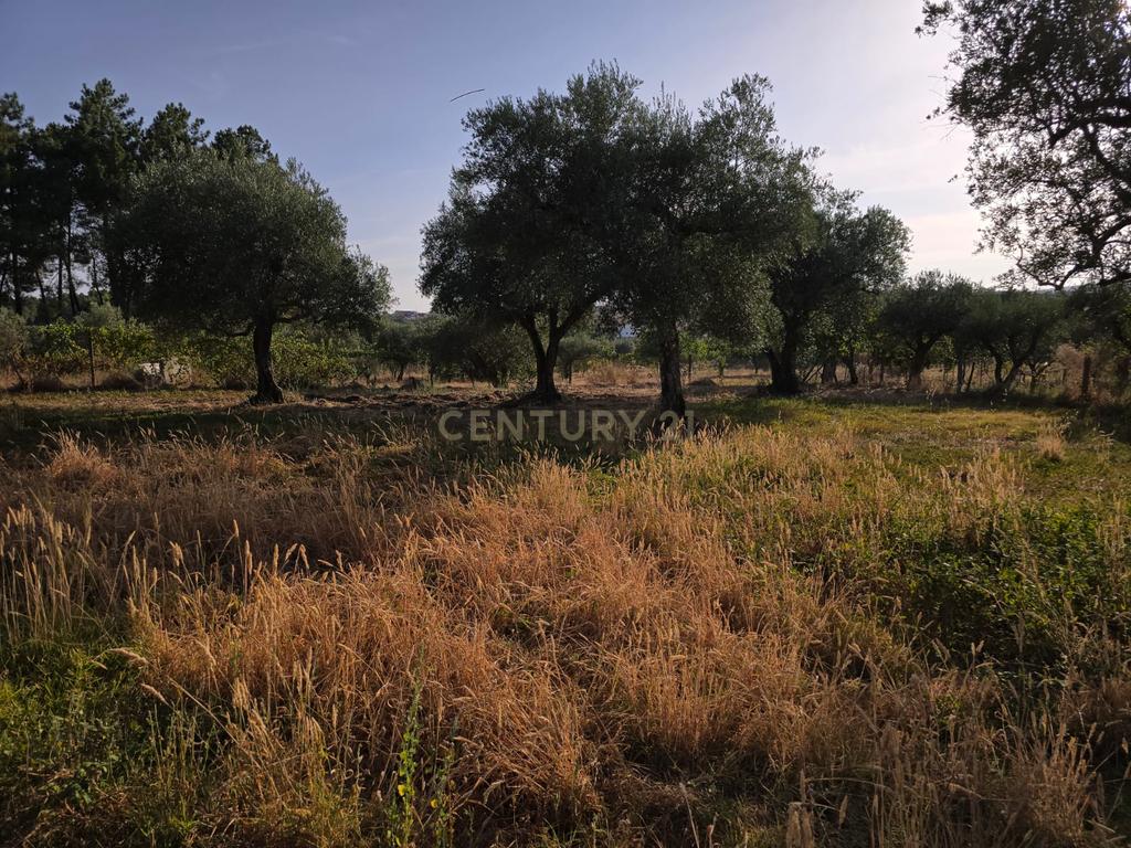 Terreno Rústico em Castelo Novo, Fundão - 2311m² por 19900€ - Image 16