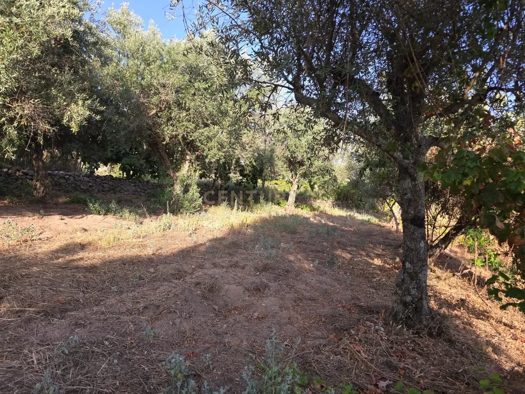 Terreno Rústico em Castelo Novo, Fundão - 2311m² por 19900€ - Image 11