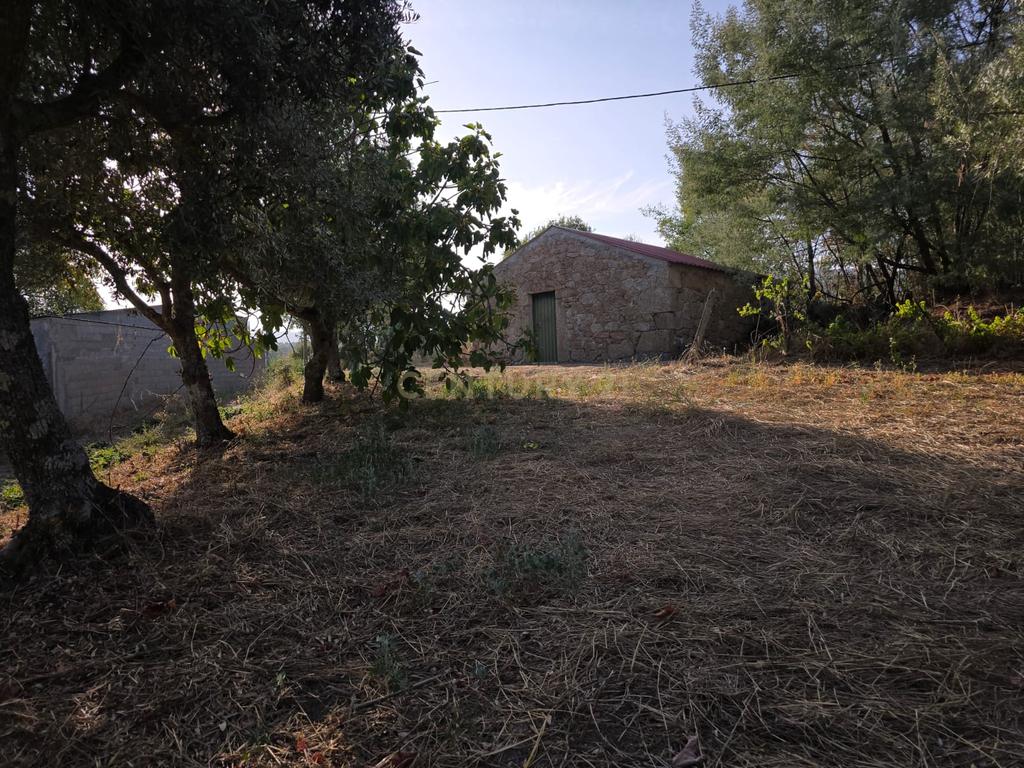 Terreno Rústico em Castelo Novo, Fundão - 2311m² por 19900€ - Image 17